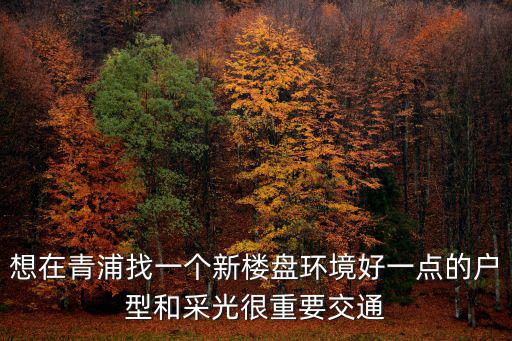 想在青浦找一個新樓盤環境好一點的戶型和采光很重要交通