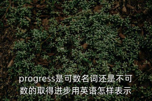 progress什么意思，progress什么意思