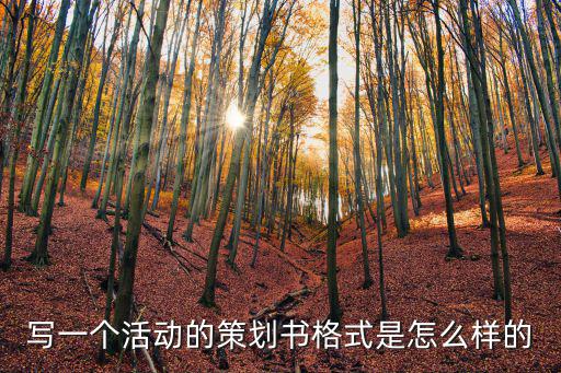 寫一個活動的策劃書格式是怎么樣的
