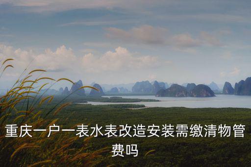 重慶一戶一表水表改造安裝需繳清物管費嗎