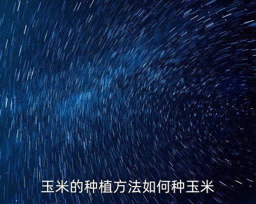 玉米的種植方法如何種玉米