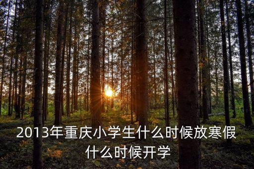 重慶市區小學寒假開學時間，重慶中小學寒假什么時后放