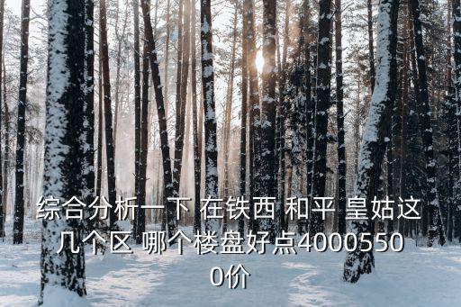 鐵西哪個小區房價升值，沈陽市鐵西經濟開發區中央大街附近在那里買樓房未來發展會怎樣有沒