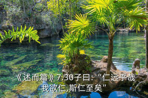 述而篇,《述而篇》第一句話是學(xué)而時習(xí)之?