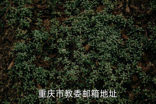 重慶市教委2月17日，市教委規定重慶市中小學都不上早晚自習都實施沒有