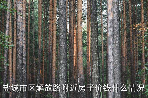 鹽城市區解放路附近房子價錢什么情況