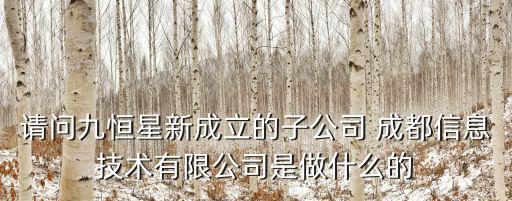 請問九恒星新成立的子公司 成都信息技術有限公司是做什么的