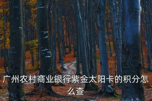廣州怎么查個人積分，在廣州網上車管所網址上如何查詢個人駕駛證扣分情況
