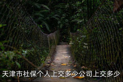 天津市社會保險個人繳納基數，天津市2015年個人養老保險繳費基數是多少