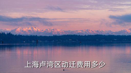 上海盧灣區(qū)動遷費用多少