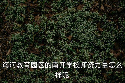 海河教育園區的南開學校師資力量怎么樣呢