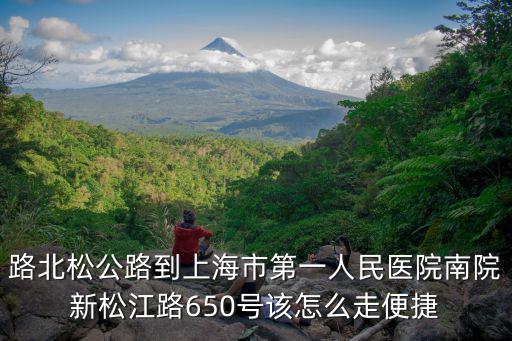 路北松公路到上海市第一人民醫院南院新松江路650號該怎么走便捷