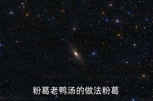 粉葛老鴨湯的做法粉葛
