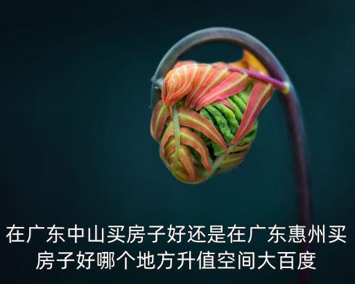 在廣東中山買房子好還是在廣東惠州買房子好哪個地方升值空間大百度