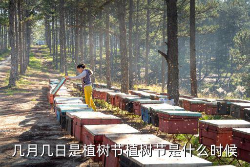 幾月幾日是植樹節(jié)植樹節(jié)是什么時候