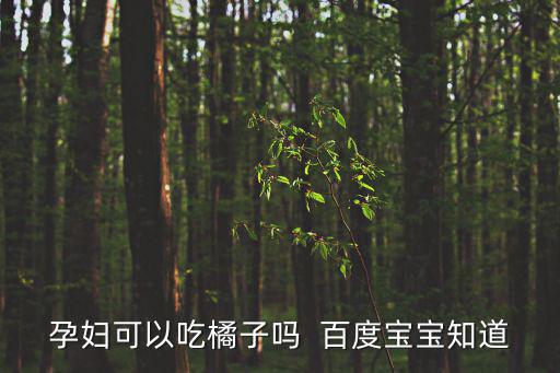 孕婦可以吃橘子嗎  百度寶寶知道