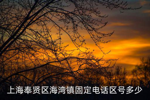 上海奉賢區(qū)海灣鎮(zhèn)固定電話區(qū)號(hào)多少