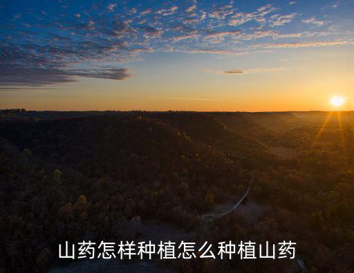 山藥怎樣種植怎么種植山藥