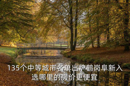 135個中等城市名單出爐鶴崗阜新入選哪里的房價更便宜