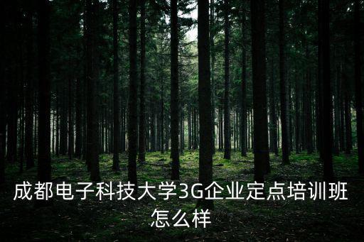成都電子科技大學3G企業定點培訓班怎么樣