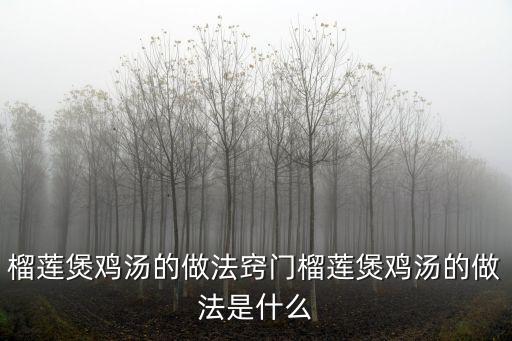 榴蓮煲雞湯的做法竅門榴蓮煲雞湯的做法是什么
