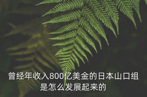 曾經年收入800億美金的日本山口組是怎么發展起來的