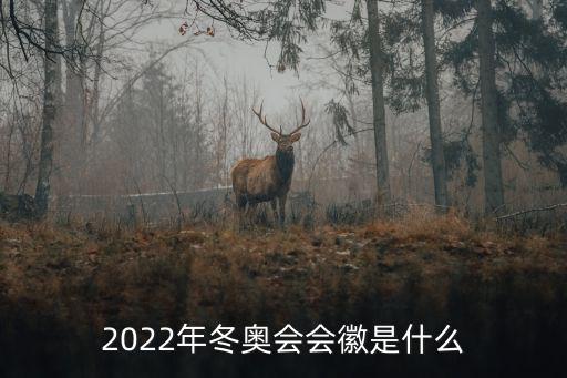 2022冬奧會會徽,冬奧會會徽是什么?