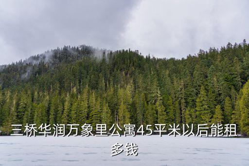 三橋華潤萬象里公寓45平米以后能租多錢