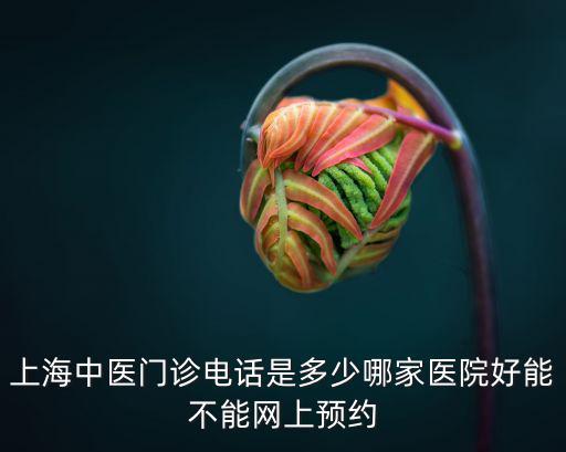 上海中醫門診電話是多少哪家醫院好能不能網上預約