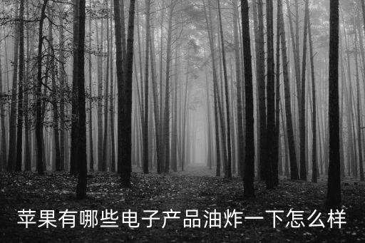 蘋果有哪些電子產品油炸一下怎么樣