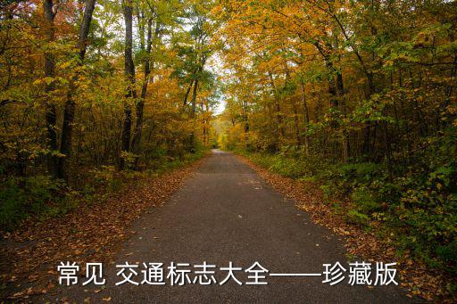 常見(jiàn) 交通標(biāo)志大全——珍藏版
