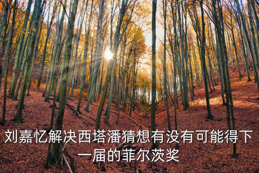 劉嘉憶解決西塔潘猜想有沒有可能得下一屆的菲爾茨獎