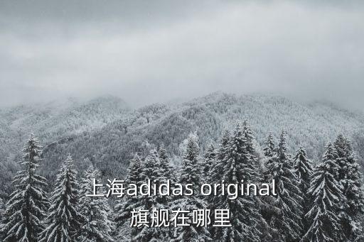 上海市hbuy，上海市教育局負責主導上海各地方學校嗎