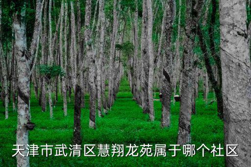 天津市津匯通投資有限公司張文武，天津市武清區慧翔龍苑屬于哪個社區