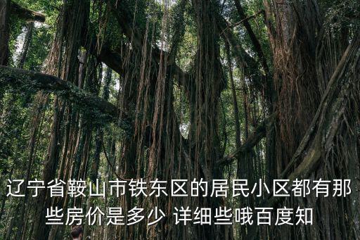 遼寧省鞍山市鐵東區(qū)的居民小區(qū)都有那些房價是多少 詳細(xì)些哦百度知