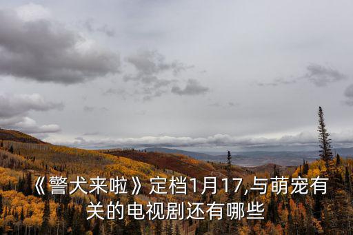 關于警犬的電視劇,《最佳搭檔雷克斯》電視劇講述德國警犬故事