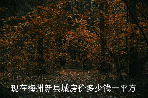 現(xiàn)在梅州新縣城房價多少錢一平方