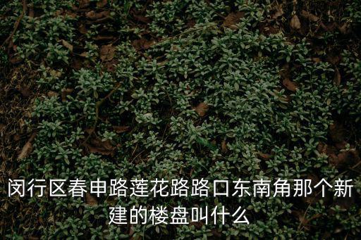 上海閔行新樓盤2022年開盤，上海近期開盤的樓盤