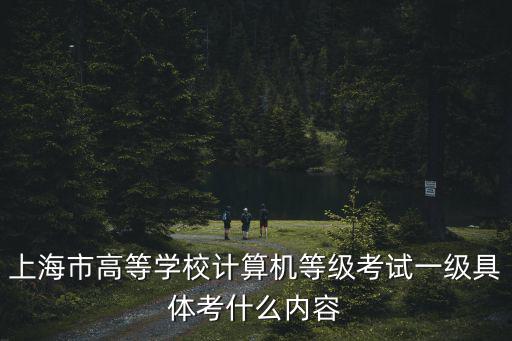 上海市高等學校計算機等級考試一級具體考什么內容