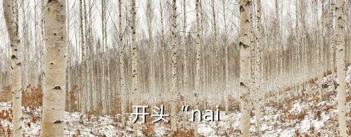 耐開頭的成語,四字開頭的成語有哪些?
