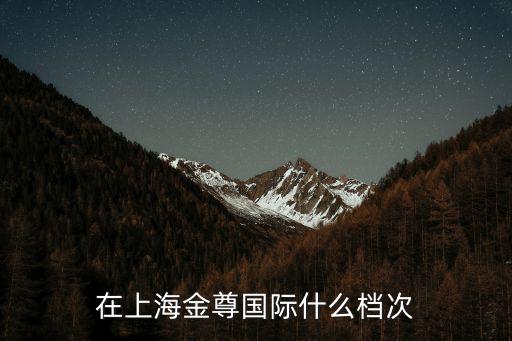在上海金尊國(guó)際什么檔次