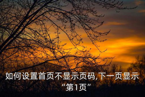 如何設置首頁不顯示頁碼,下一頁顯示“第1頁”