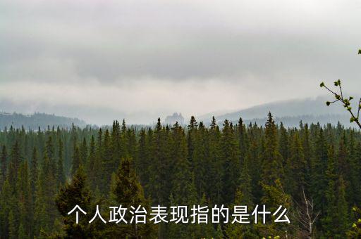 個人政治表現(xiàn)指的是什么