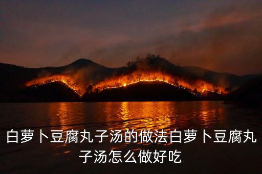 白蘿卜豆腐丸子湯的做法白蘿卜豆腐丸子湯怎么做好吃