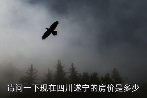 請(qǐng)問(wèn)一下現(xiàn)在四川遂寧的房?jī)r(jià)是多少