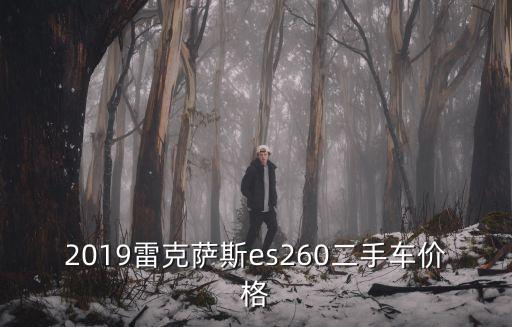 2019雷克薩斯es260二手車價格