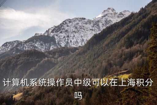 計算機系統操作員中級可以在上海積分嗎