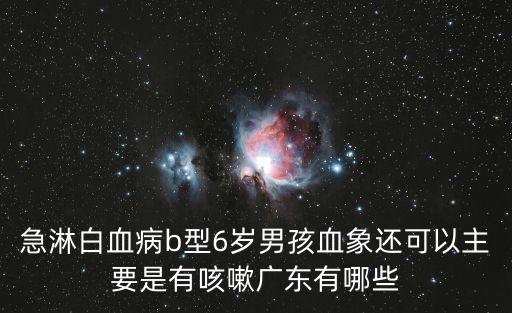 廣州兒童醫院急淋b白血病，急淋白血病b型6歲男孩血象還可以主要是有咳嗽廣東有哪些