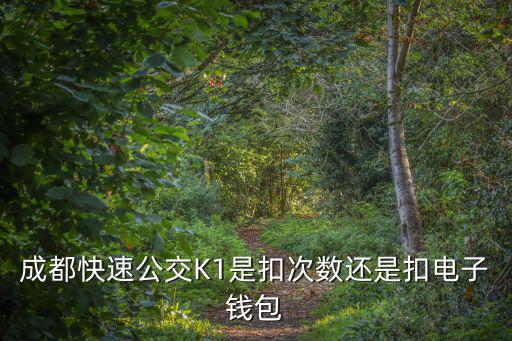 成都快速公交K1是扣次數(shù)還是扣電子錢包
