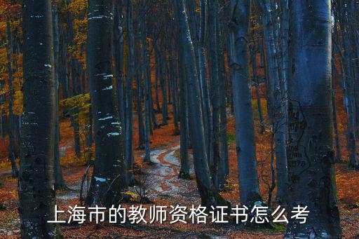 上海市的教師資格證書怎么考